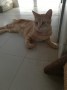 Sammy (4)